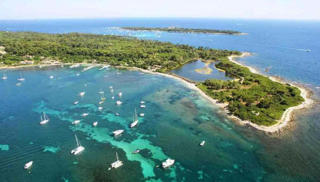 La Palme D'azur -